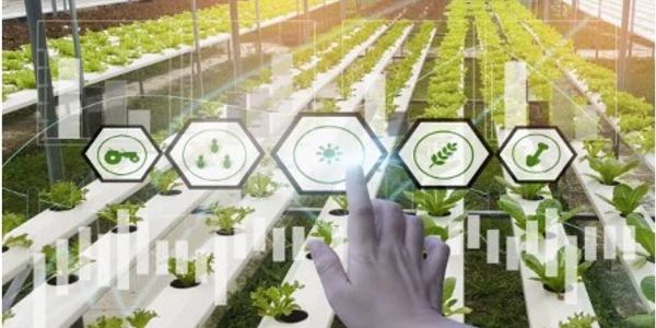 Terra Sana agr-tech solutions delivers nutrients to plants with precision