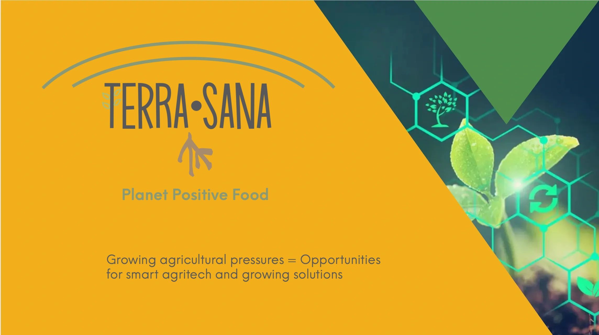 Terra Sana brand mark on a background with plant and agri-tech symbols
