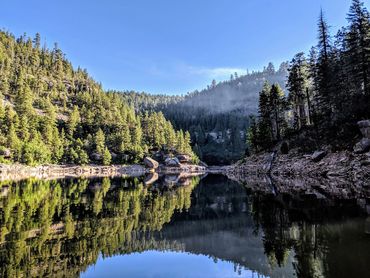 Photo of a river among pine trees with a light mist over the water.
