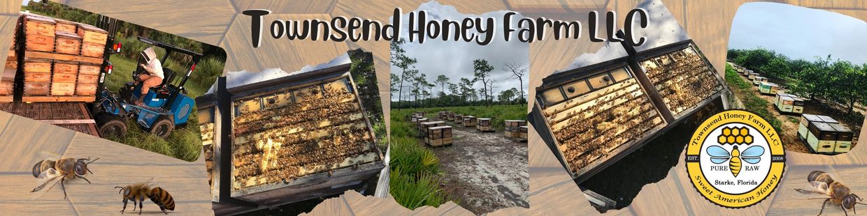 Townsend Honey Farm LLC beehives 