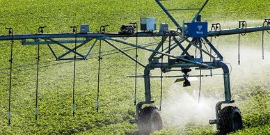 Valley irrigator with drops and sprinklers, spraying a growing field.