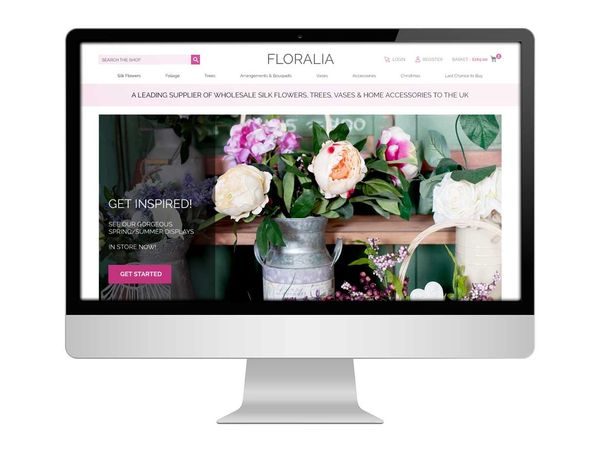 Ecommerce web design visual on a computer screen