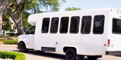 White shuttle bus parked near trees and cars.