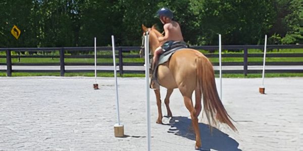 Rider on horse training.