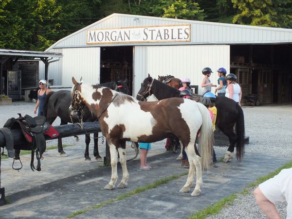 Horses and riders at stable.