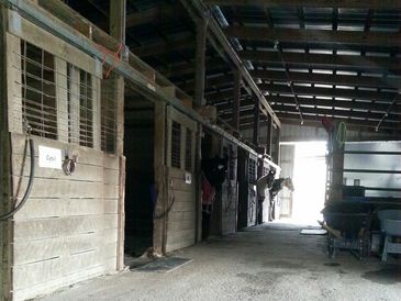 Inside a horse stable.