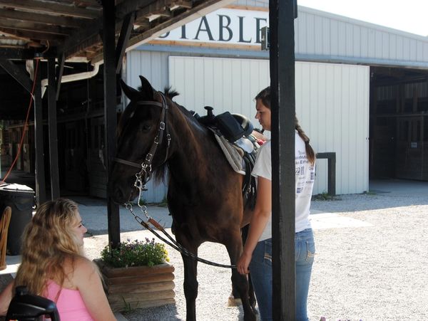 Horse in stable with people.