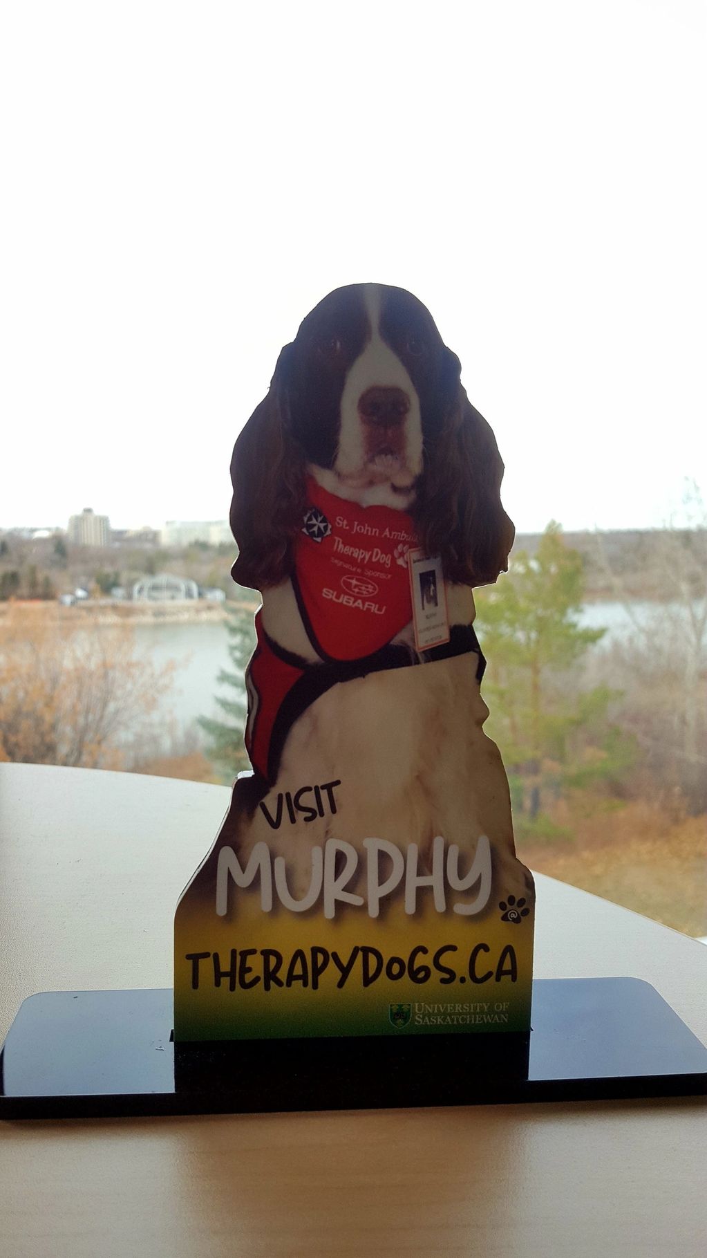 Therapy Dog Murphy visiting in an office in the Dube Centre.