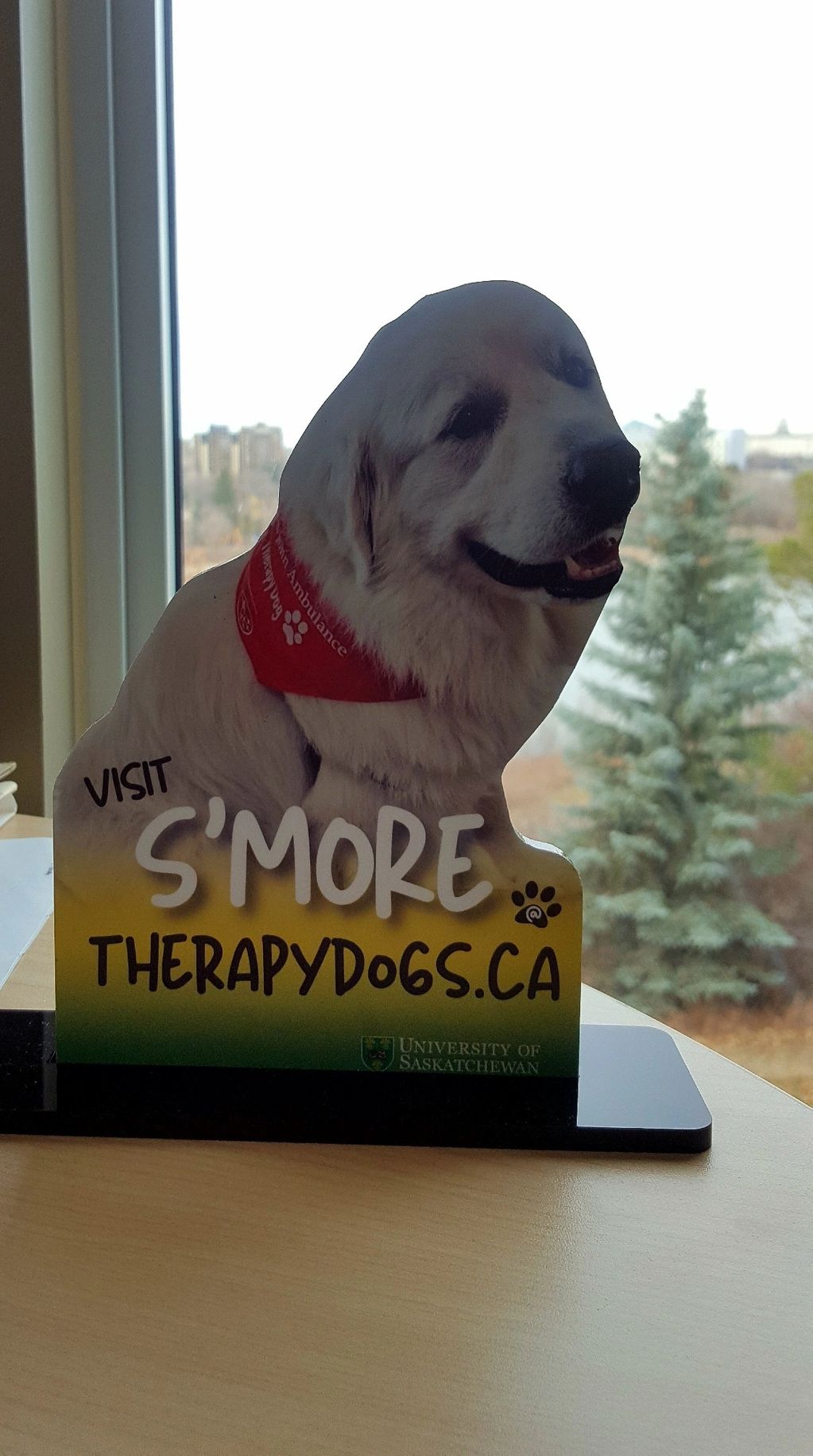Therapy Dog S'more is in front of a conference room on a unit in the Dube Centre.