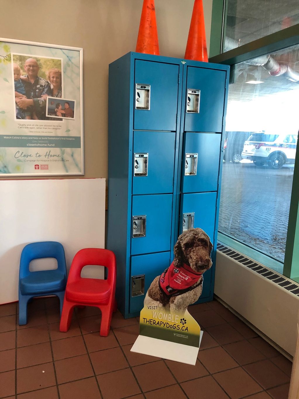 Therapy Dog Womble in the St Pauls Hospital waiting room.