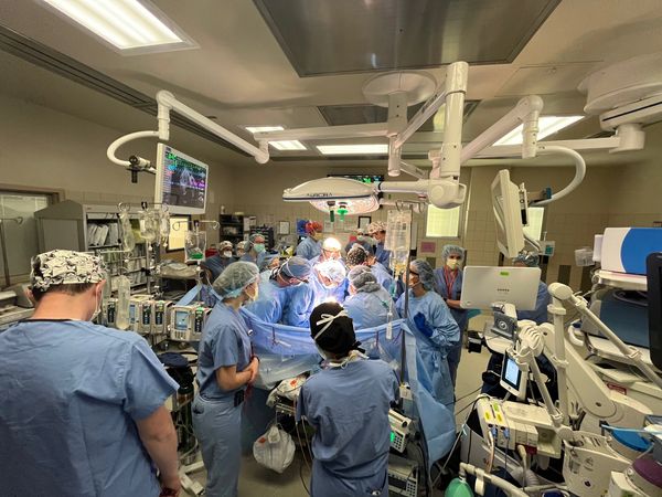 Multidisciplinary care team allows for fetal surgery at the Grant Scott Bonham Fetal Center in Utah