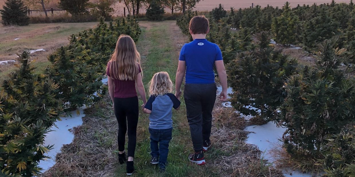 Jake and Lea's kids walking down a row in the hemp field