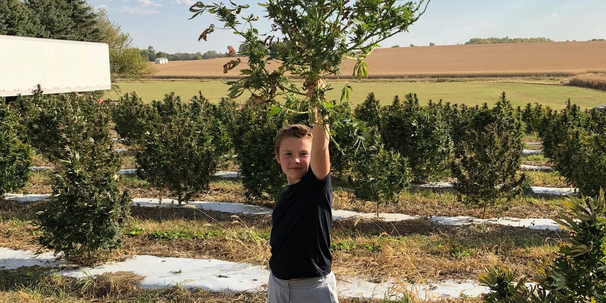 Liam holding up the plant that he harvested