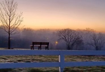 peaceful foggy morning