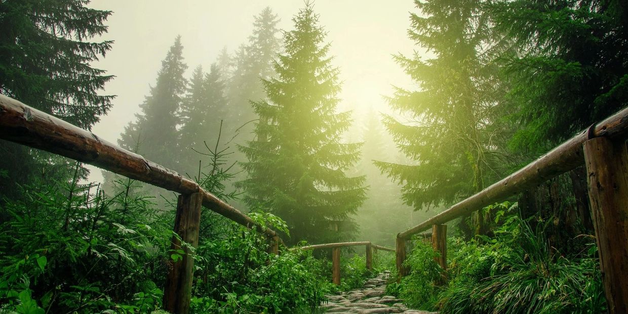 Hairs To Your Health