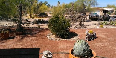 Cleaning up the landscaping