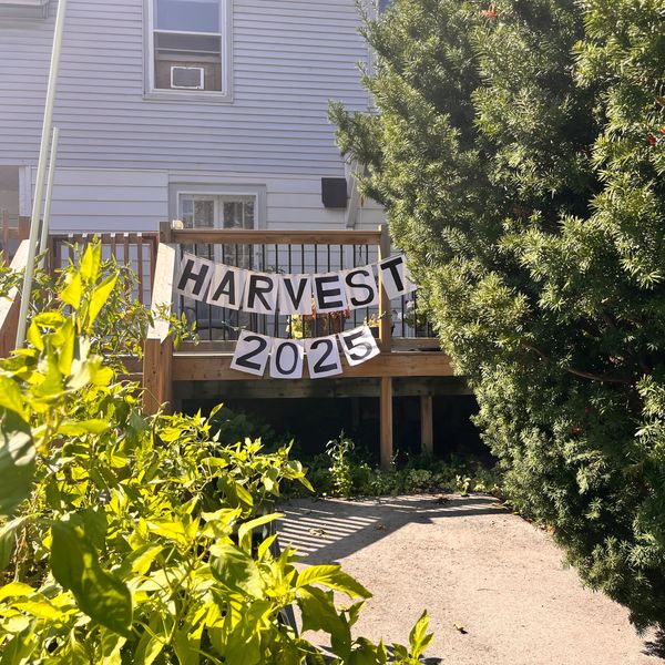 A banner reading "HARVEST 2025" hangs on a wooden deck amid greenery.