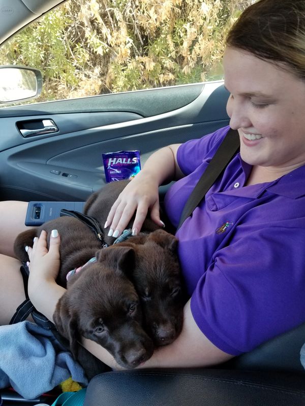 Noah and Bella day one in the car.