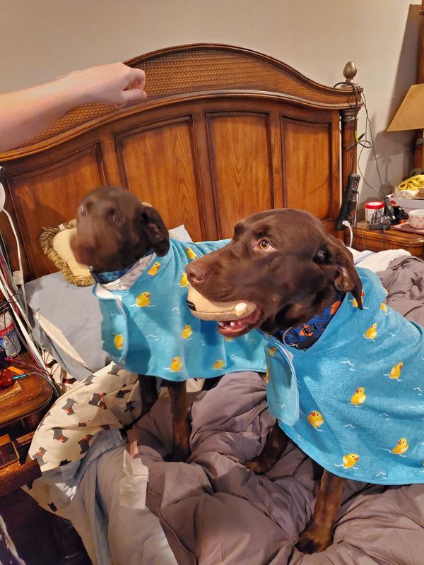 Noah and Bella