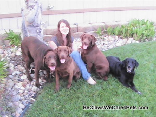Our first 4 legged family with Jennifer in Ramona California.
