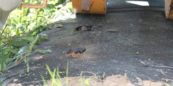 Water Wheel planter makes holes for strawberry plants at Double R