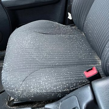 Mold in car on seat