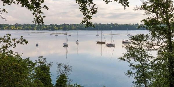 Boats floating on a calm River Stour with trees in the foreground