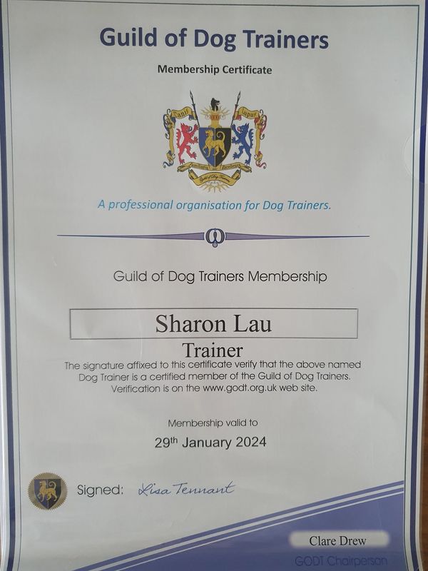 Certificate for Guild of Dog Trainers membership