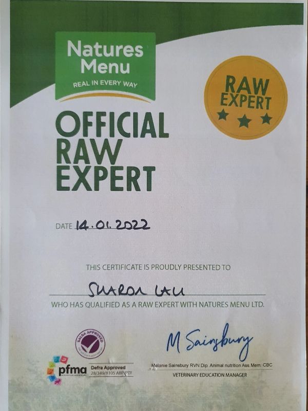 Raw Food advisor certificate