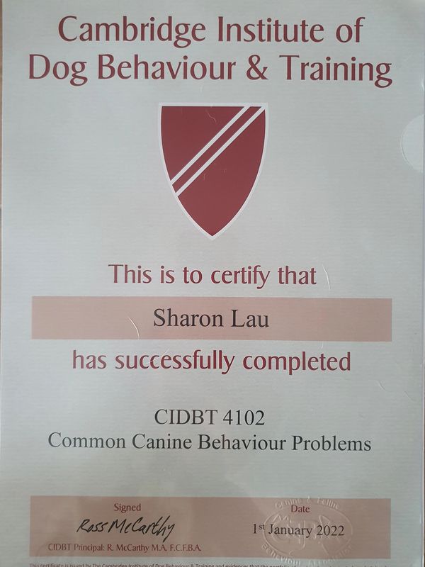 Certificate of Dog behaviour course completion