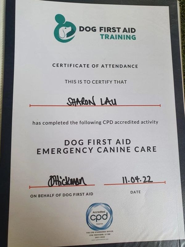 Dog First Aid Certified
