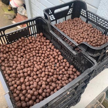Two black crates filled with small round brown pellets.