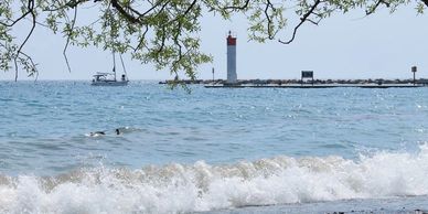 Weed Cannabis Psilocybin Edibles Delivery Whitby Ontario Same Day Weed Delivery