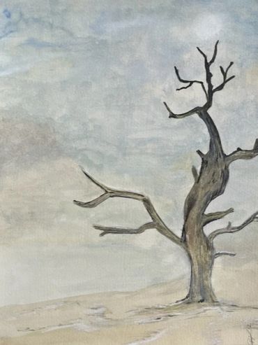 The Barren Landscape