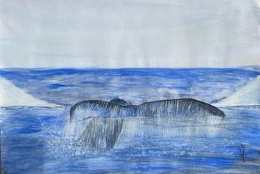A Whales Tail