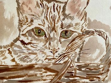 Cat in Basket