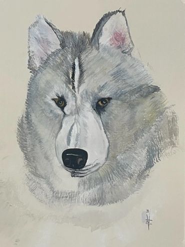 Husky