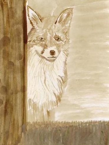 Looking on - Fox