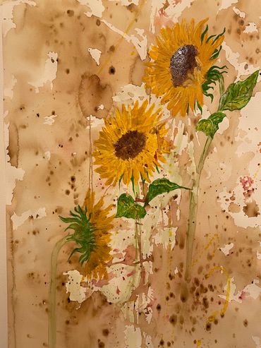 Sunflowers