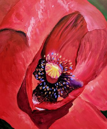 Poppy Flower
Acrylic Painting