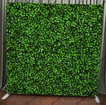 Hedge Wall Backdrop for Photo Booth Rental, VIP Step and Repeat or Video Guestbook Activation.