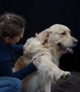 Tierosteopathie : für Hunde und Pferde Genf, Wallt, Wallis, Jura Freiburg, Bern, Thun etc...