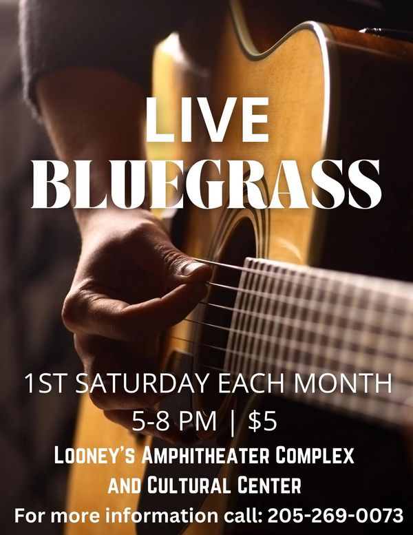 Live Bluegrass at Looney's