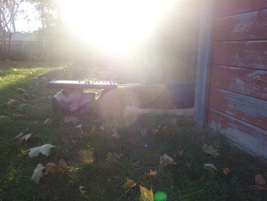 Person lying on grass with a keyboard on their face in bright sunlight.