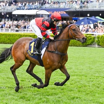 Jockey riding a racehorse on a green racetrack with an audience.