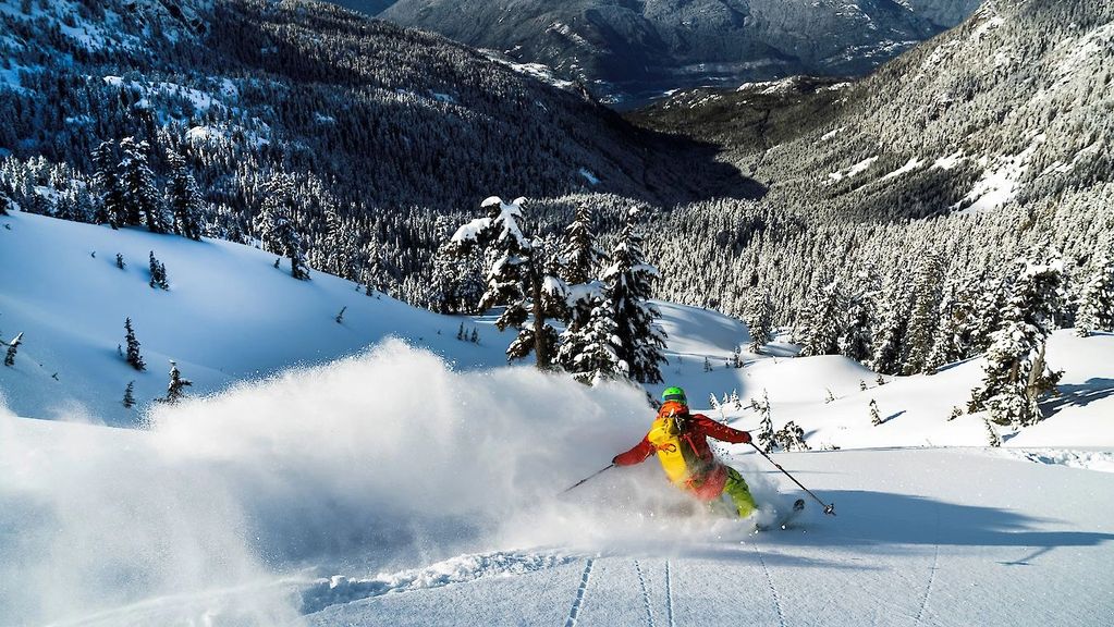 backcountry skiing insurance