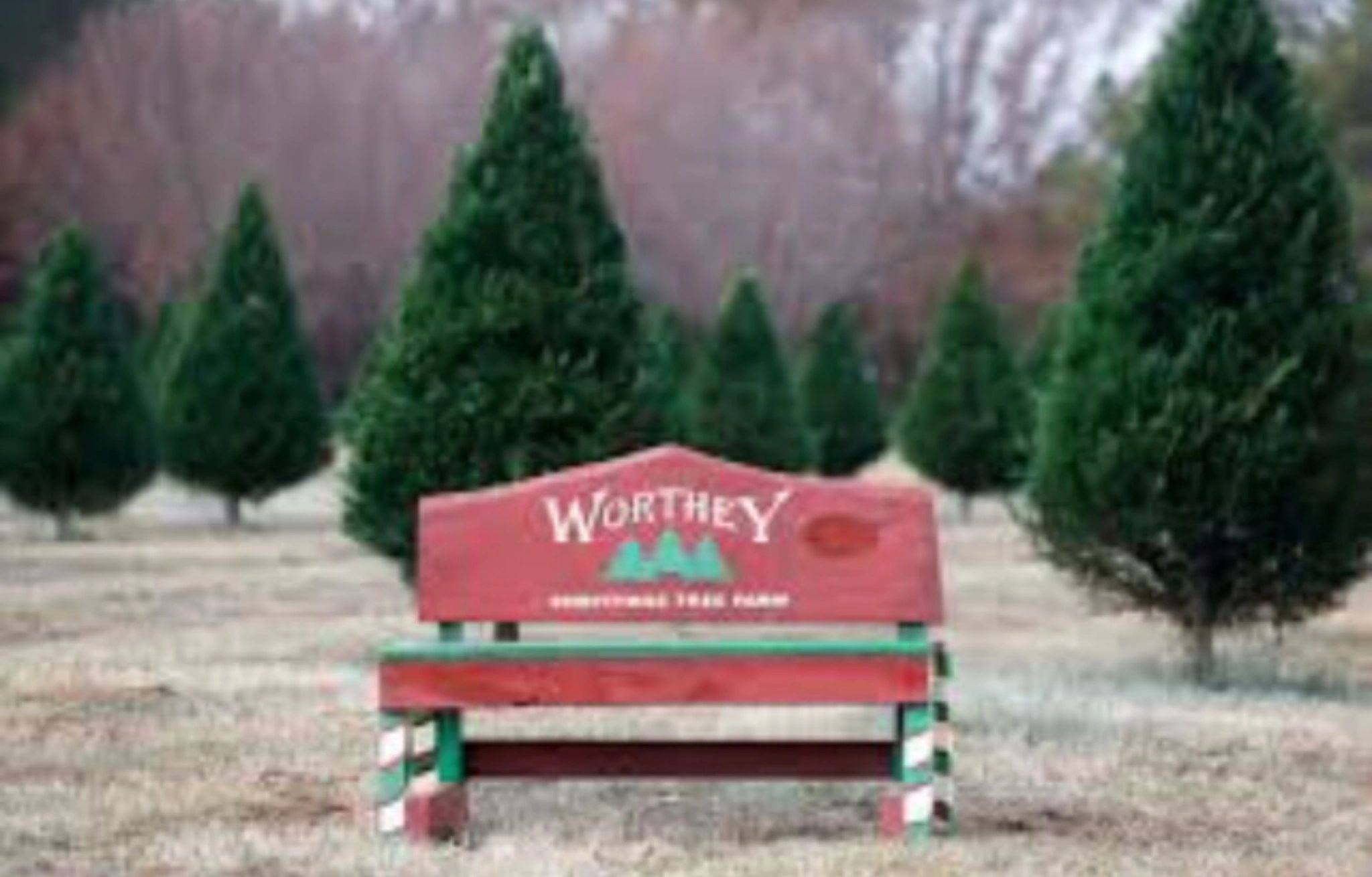 Worthey Tree Farm