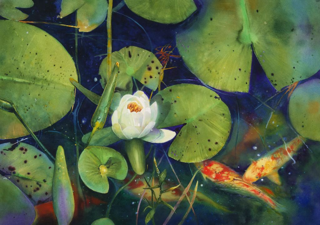 "Koi," oil, 30x40"