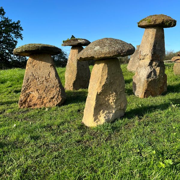 Genuine Original Sandstone Staddle stones.