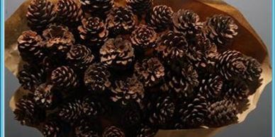 Flower District NYC Wholesale Flowers Flower Supply Flower Market NYC pine cone sticks dried flowers